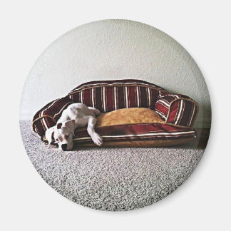 Boxer Doggie Magnet