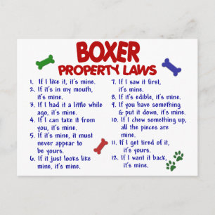 Boxer Egendom Laws 2 Vykort