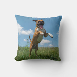 Boxer Elegant Dekorativ kudde