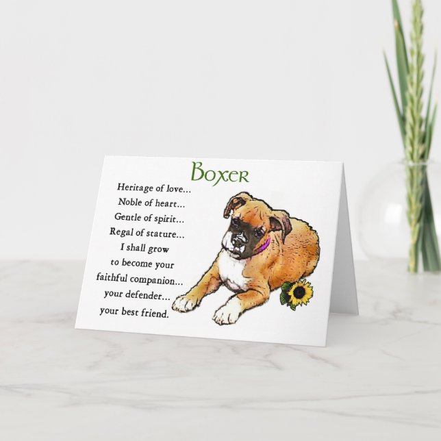 Boxer Gifts Kort (Framsida)
