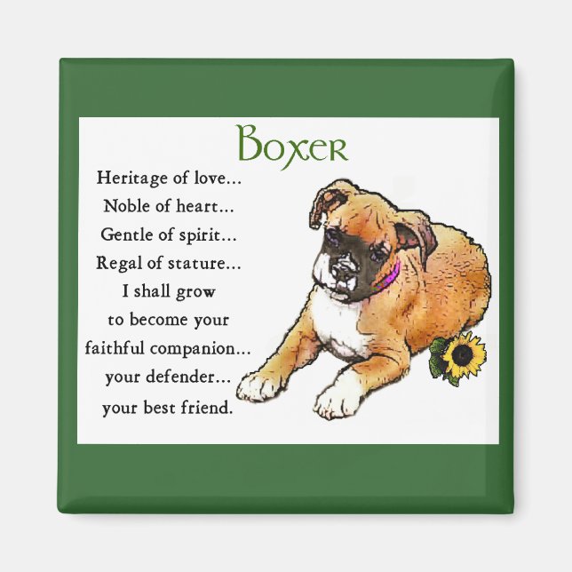 Boxer Gifts Magnet (Framsidan)