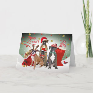 Boxer God jul-kort Helgkort