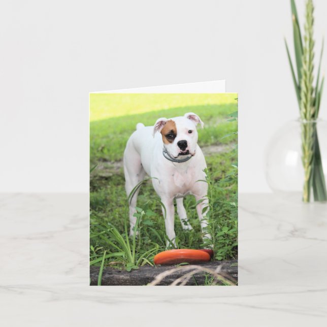 Boxer Helgkort (Framsida)