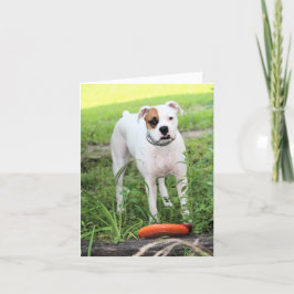 Boxer Helgkort