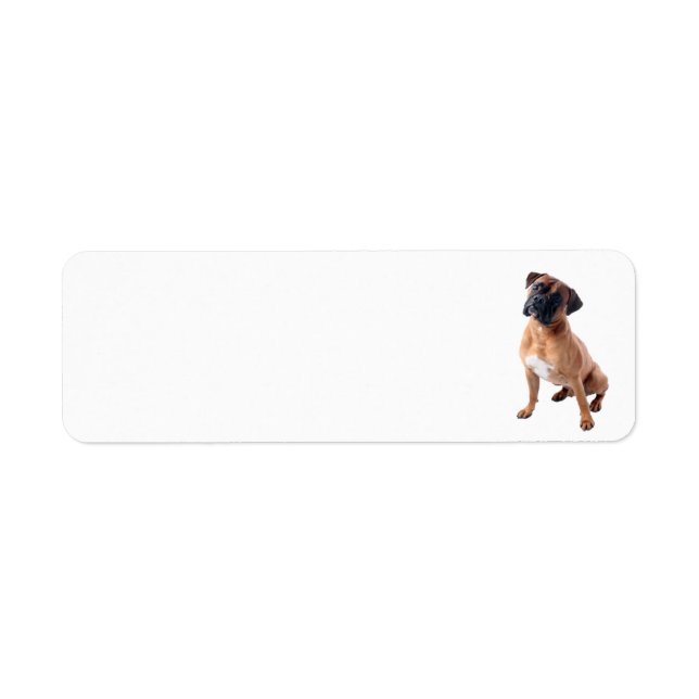 Boxer Hund 2 Returadress Etikett (Framsidan)