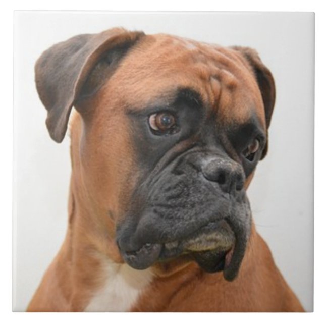 BOXER HUND 3, Pet Kärlek, Best Friend KEEPSAKE Kakelplatta (Framsidan)