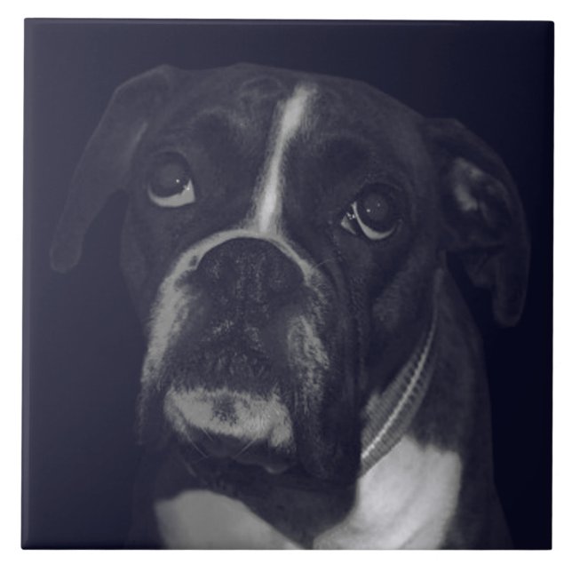 BOXER HUND 3, Pet Kärlek, Best Friend KEEPSAKE Kakelplatta (Framsidan)
