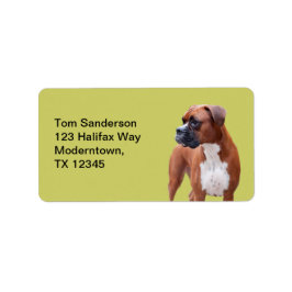 Boxer hund adressetikett
