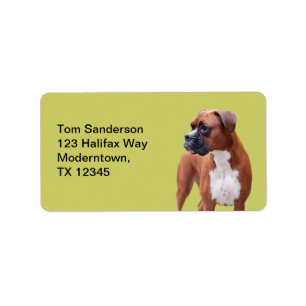 Boxer hund adressetikett