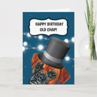 Boxer hund bar top hat, brittisk gammal chap humor