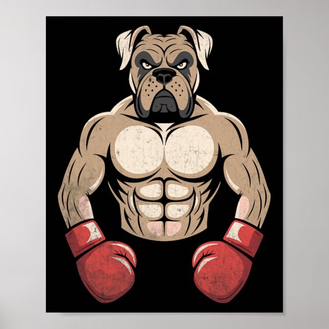 Boxer Hund Boxing Handskar Pet Hundar Boxers Manar Poster (Framsidan)