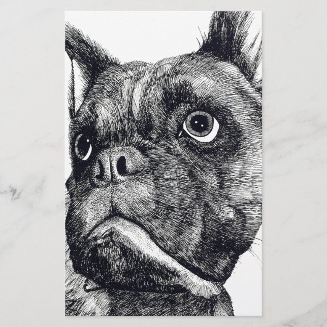 Boxer Hund Cutness (Framsida)