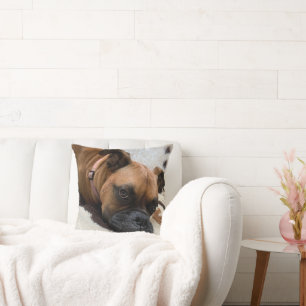 Boxer Hund Dekorativ kudde