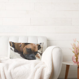 Boxer Hund Dekorativ kudde