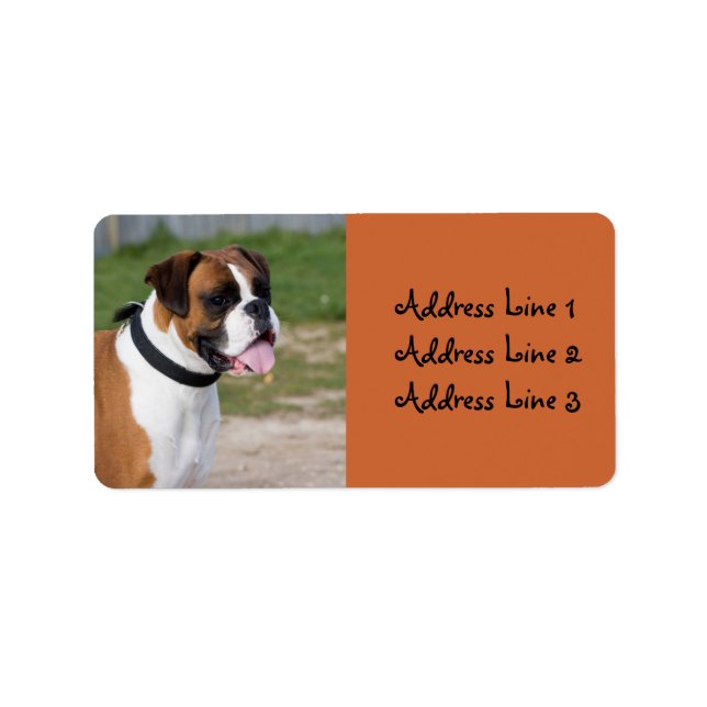 Boxer Hund Foto Adressetikett (Framsidan)