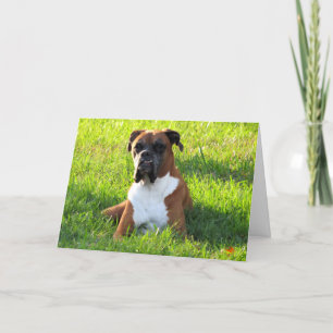 Boxer Hund-gratulationskort Kort