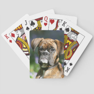 Boxer Hund Headshot Spel Kort