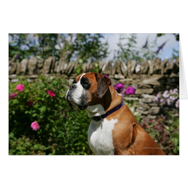 Boxer-Hund i Blommor Hälsningskort (Framsidan Horizontal)