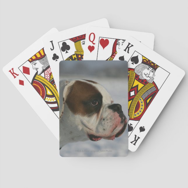 Boxer Hund i Snö Casinokort (Baksidan)