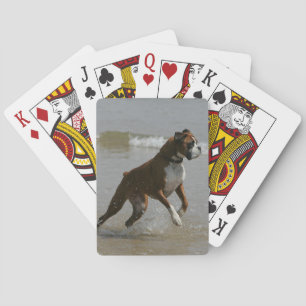 Boxer Hund i Vatten Spel Kort