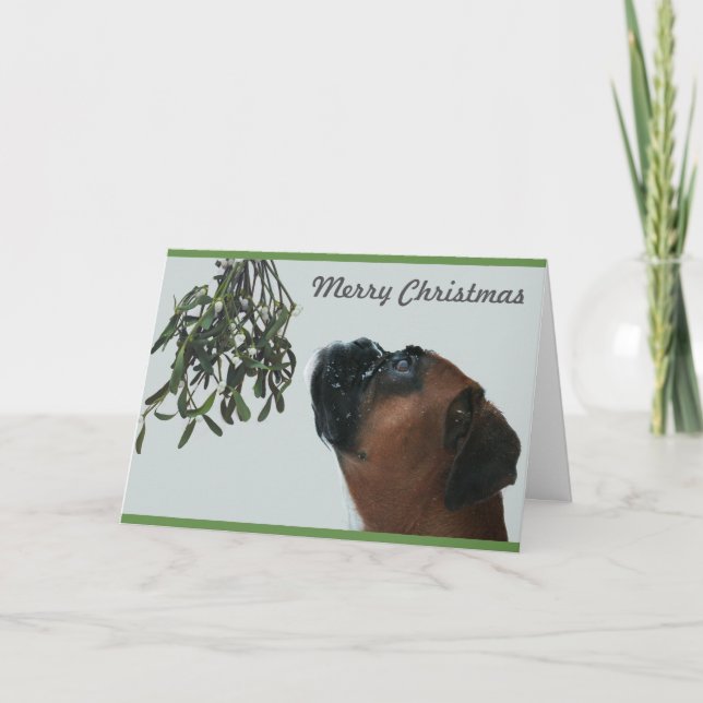 Boxer Hund Jolie with Mistletoe Helgkort (Framsida)