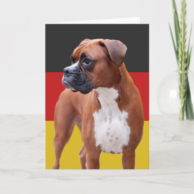 Boxer hund kort (Framsida)