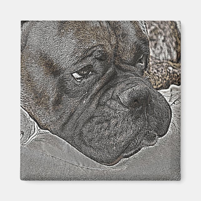 Boxer Hund Magnet (Framsidan)