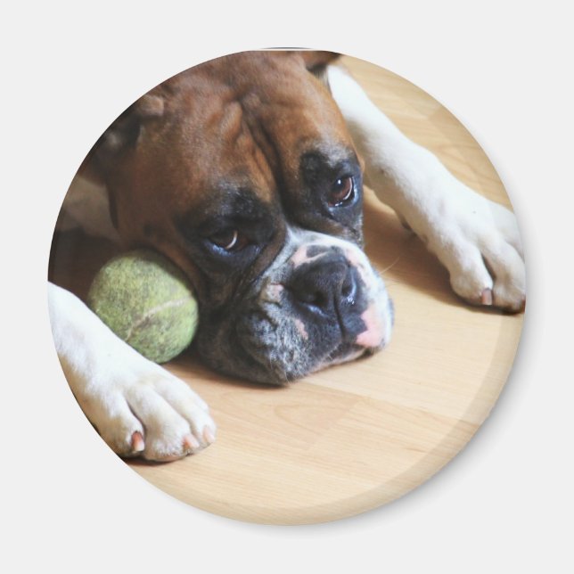 Boxer Hund magnet (Framsidan)