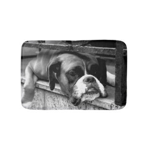 Boxer Hund On Windows sill bmcn Badrumsmatta