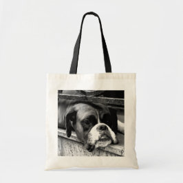 Boxer Hund On Windows sill btcn Tygkasse
