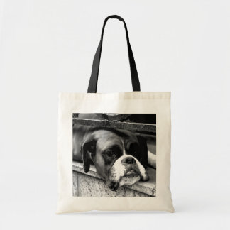 Boxer Hund On Windows sill btcn Tygkasse