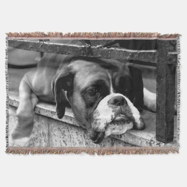 Boxer Hund på Windows-fliknkanal Filt (Framsidan)