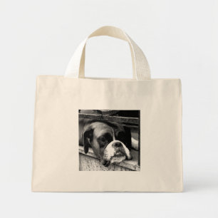 Boxer Hund på Windows grundprogram Mini Tygkasse