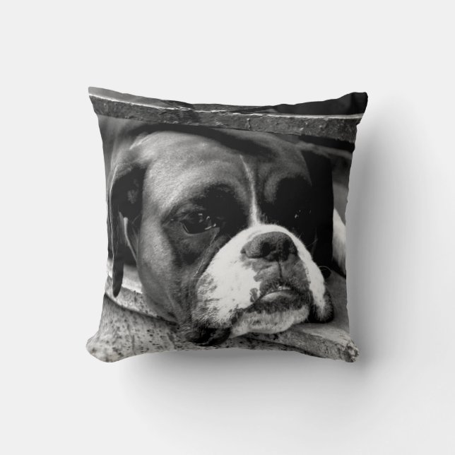 Boxer Hund på Windows-paneltpcnm Kudde (Framsida)