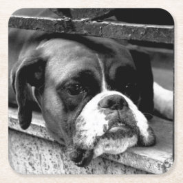 Boxer Hund på Windows Sill Coercnm Underlägg Papper Kvadrat