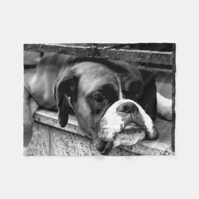 Boxer Hund på Windows sill fbcna Fleecefilt (Framsidan (Horisontell))