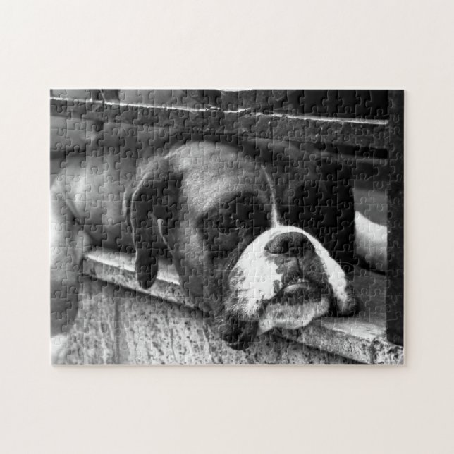Boxer Hund på Windows-skärm 11x14 252pc jpcn Pussel (Horisontell)