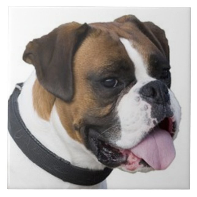 BOXER HUND, Pet Kärlek, Best Friend KEEPSAKE Kakelplatta (Framsidan)