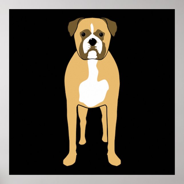 Boxer Hund. Poster (Framsidan)