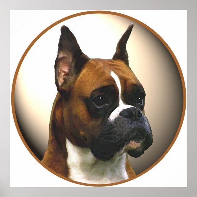 Boxer-Hund Poster (Framsidan)