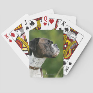 Boxer-Hund-profil Casinokort