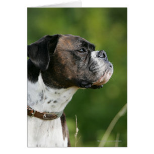 Boxer-Hund-profil Hälsningskort