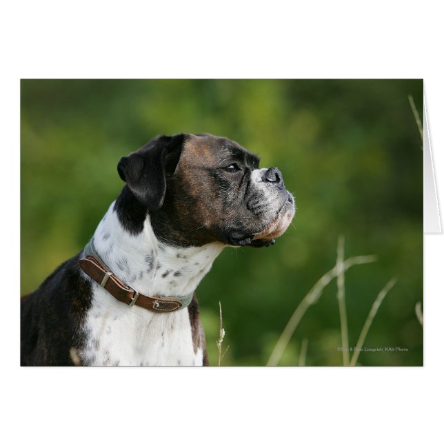 Boxer-Hund-profil Hälsningskort (Framsidan Horizontal)
