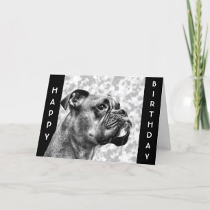 Boxer Hund-profil Kort