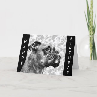 Boxer Hund-profil Kort