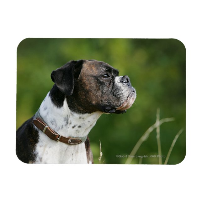 Boxer-Hund-profil Magnet (Horisontell)