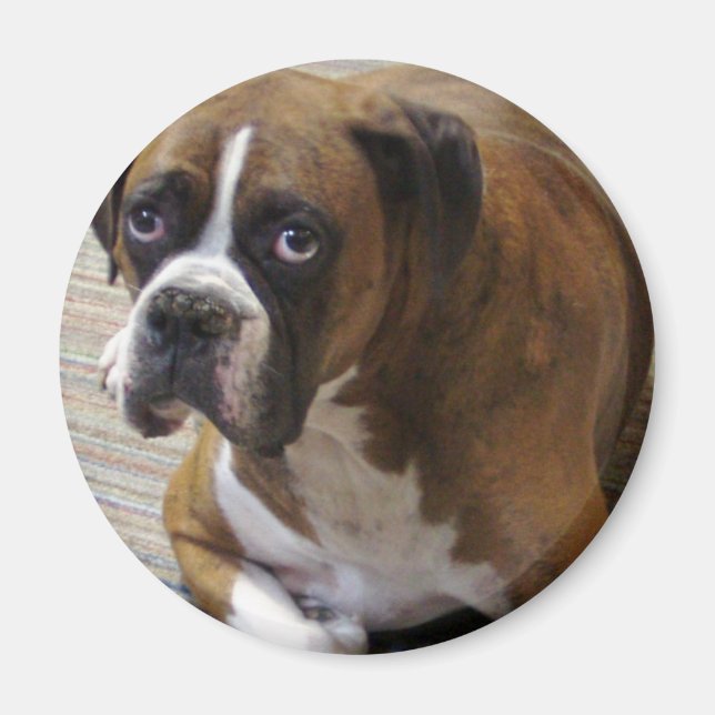 Boxer Hund Round Magnet (Framsidan)