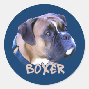 Boxer-Hund Runt Klistermärke