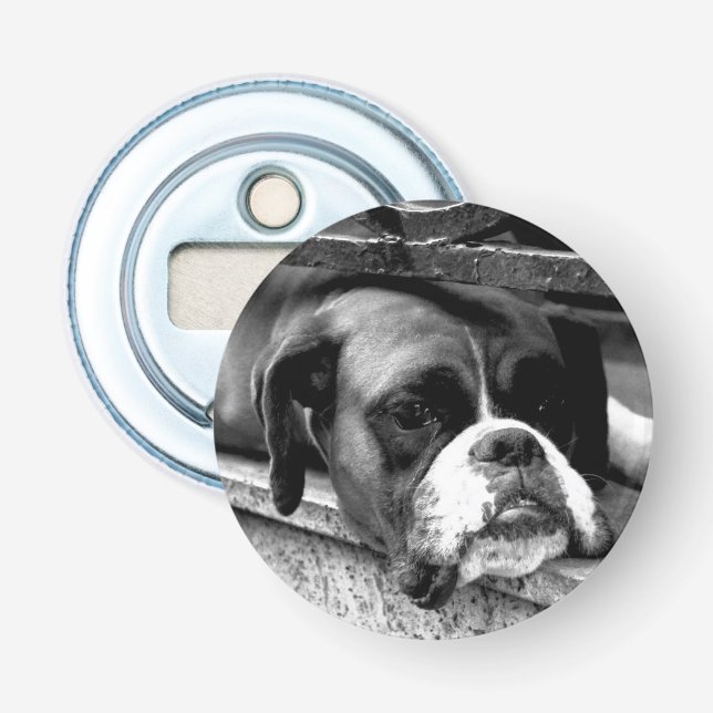 Boxer Hund vid fönsterbocnm Flasköppnare (Framsidan)