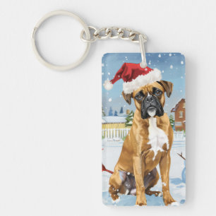 Boxer Hund Vinter Värld Julglädje
